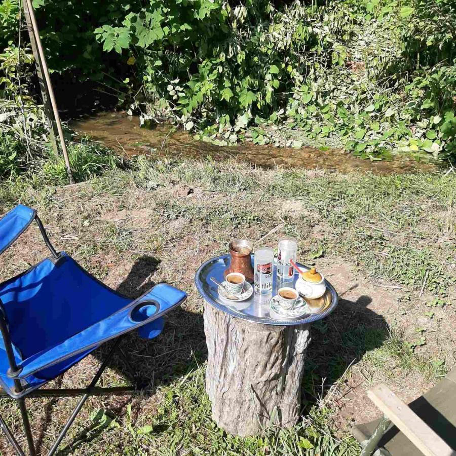 Cottage Forest Stream فيسوكو المظهر الخارجي الصورة