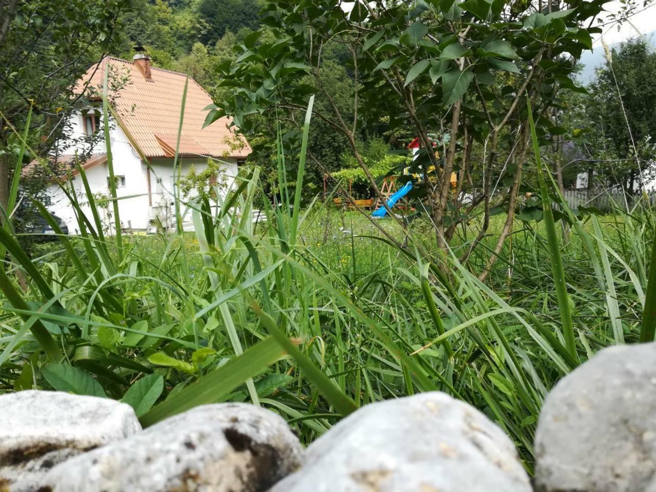 Cottage Forest Stream فيسوكو المظهر الخارجي الصورة