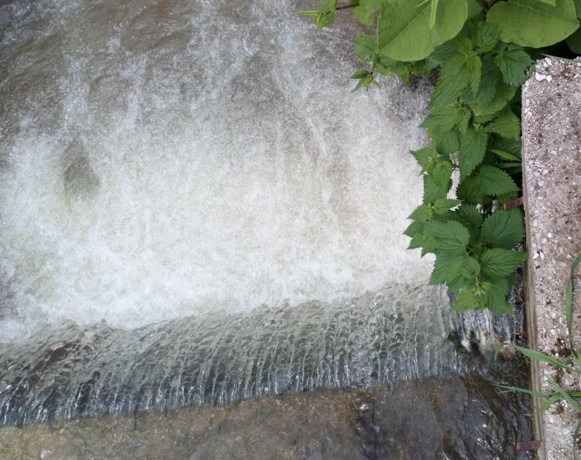 Cottage Forest Stream فيسوكو المظهر الخارجي الصورة