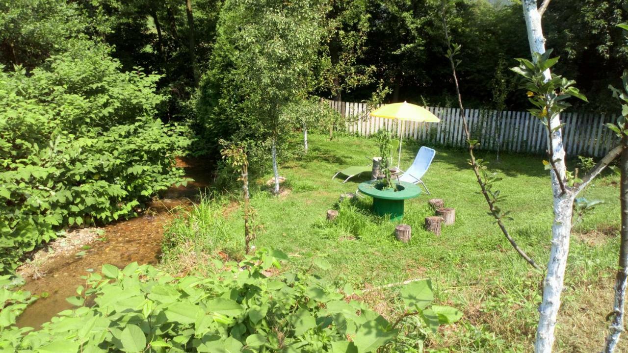 Cottage Forest Stream فيسوكو المظهر الخارجي الصورة
