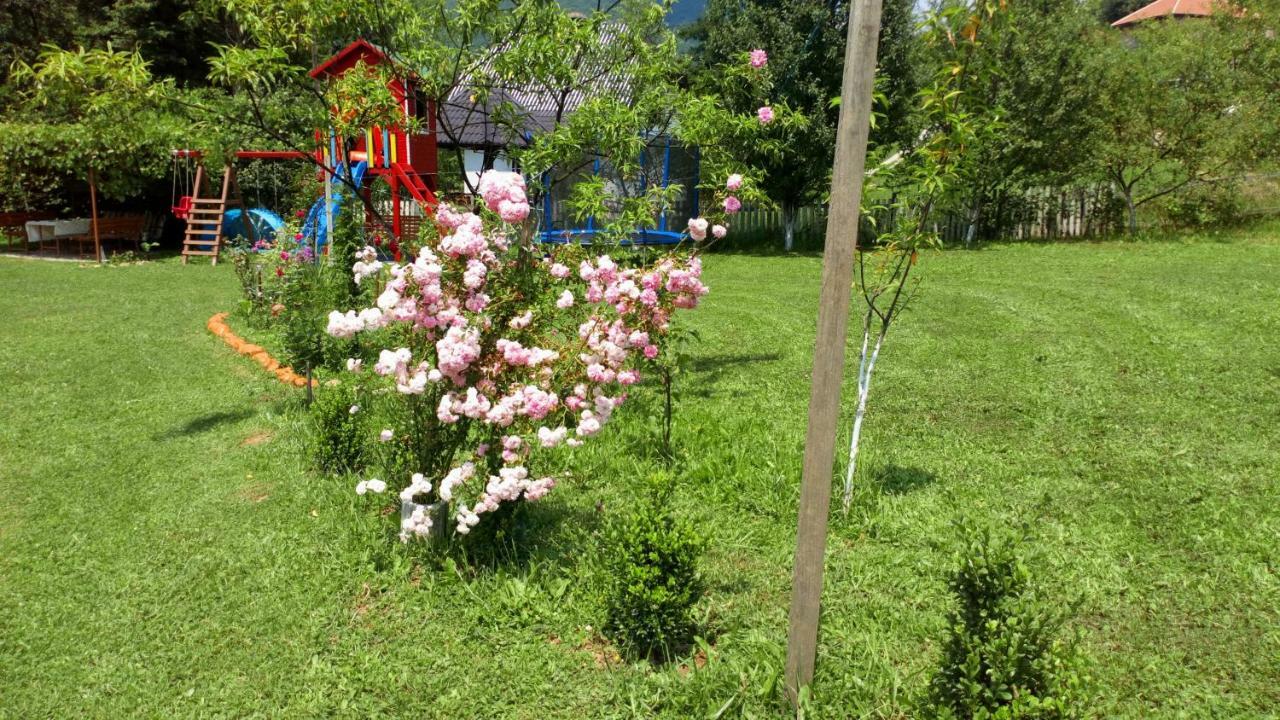 Cottage Forest Stream فيسوكو المظهر الخارجي الصورة